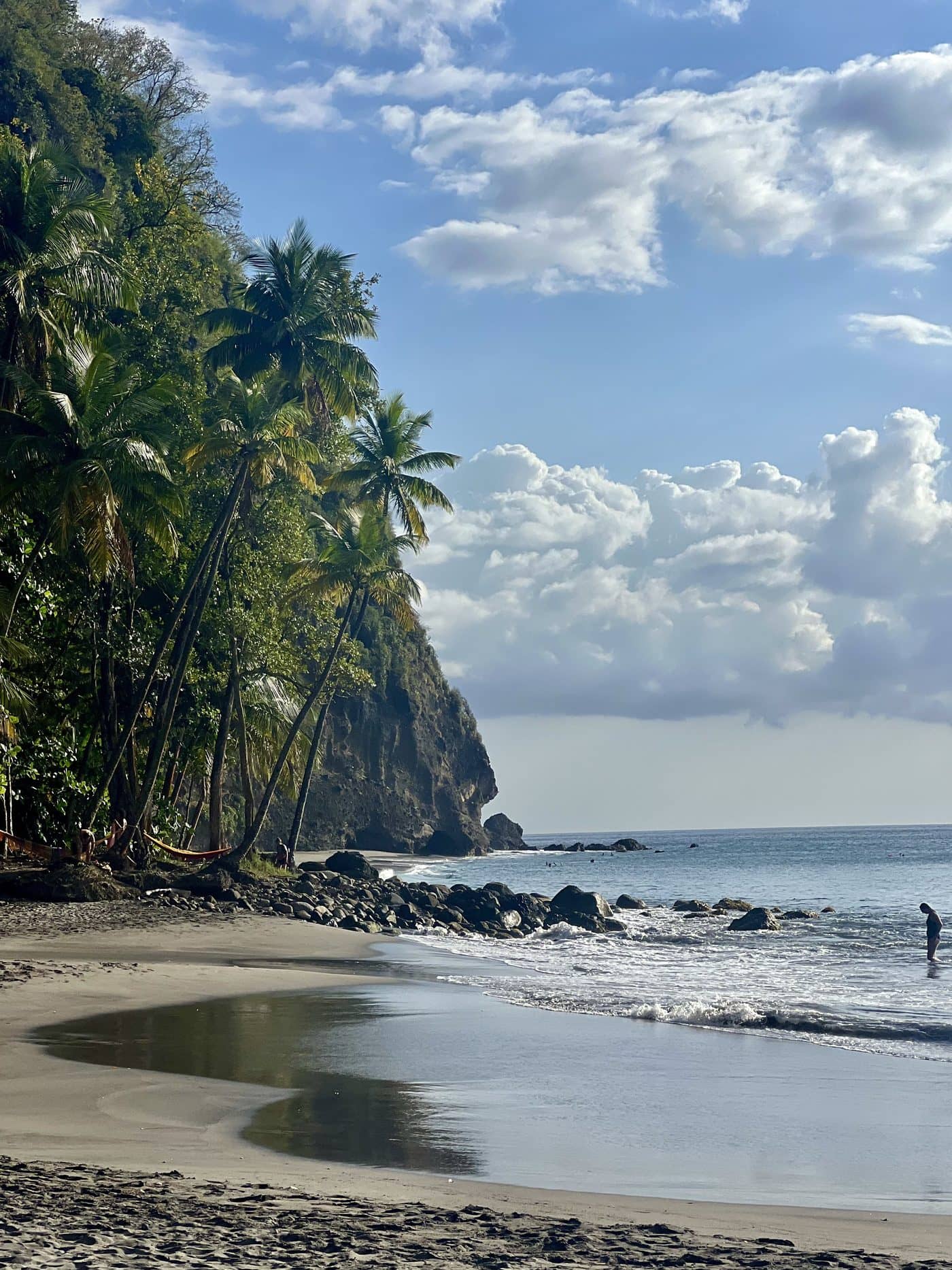 A palm-lined cove and cliff at Anse Couleuvre in Martinique